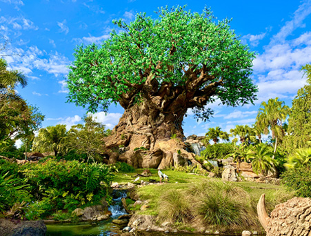 Animal Kingdom